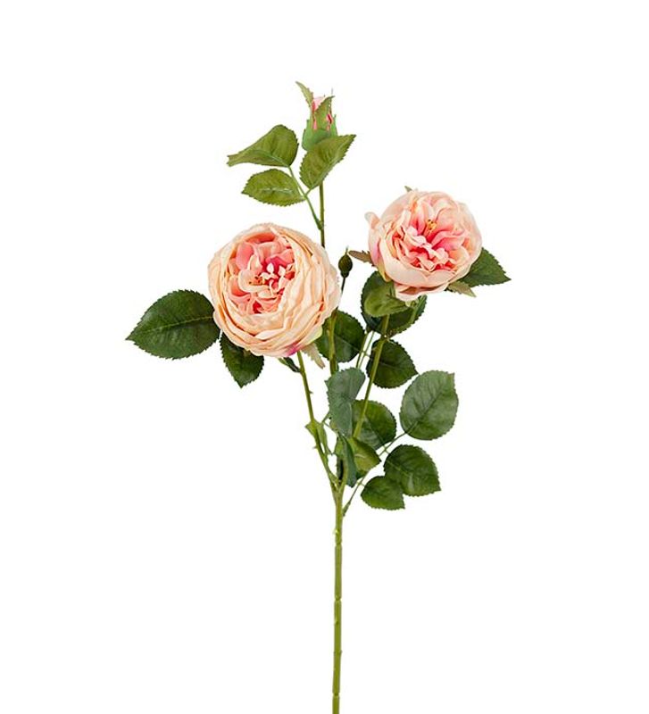 Rose 65 cm (rosa)