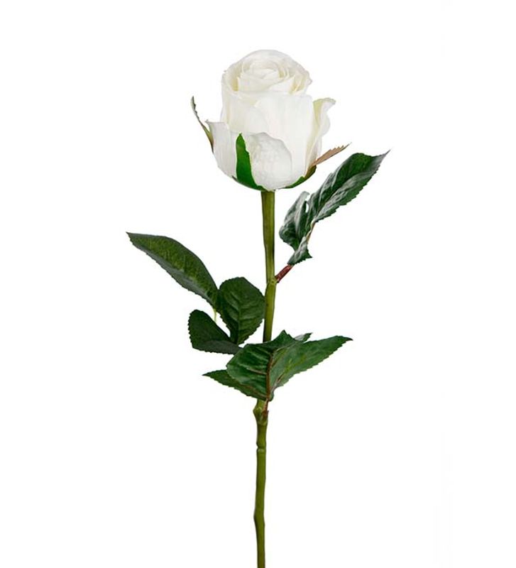 Rose 50 cm (hvit)