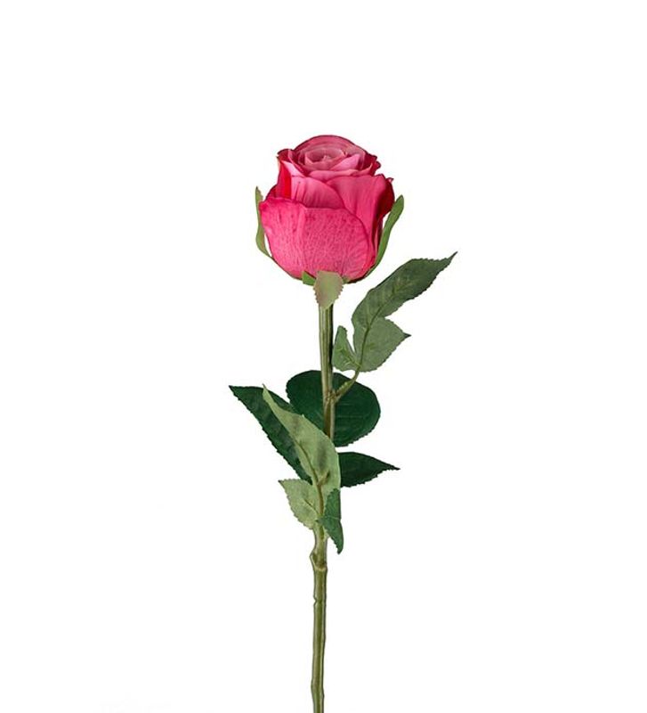 Rose 50 cm (rosa)