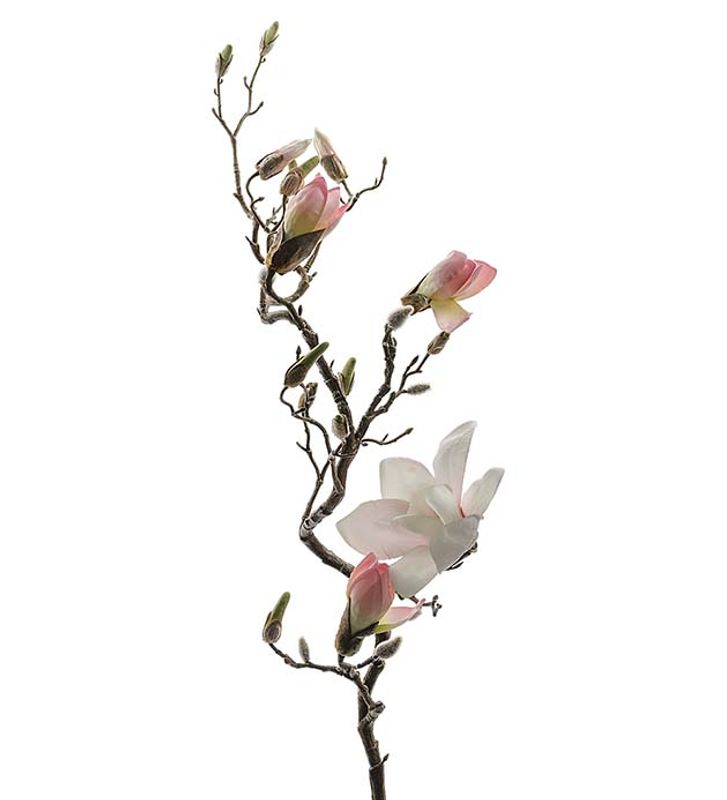Magnolia 135 cm (hvit og rosa)